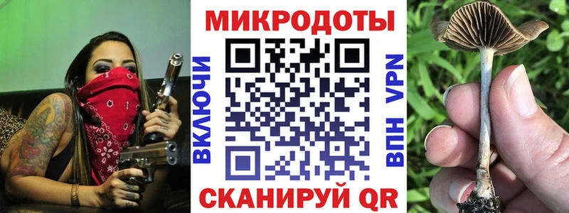 Купить где  Нефтеюганск  Псилоцибиновые грибы мицелий 