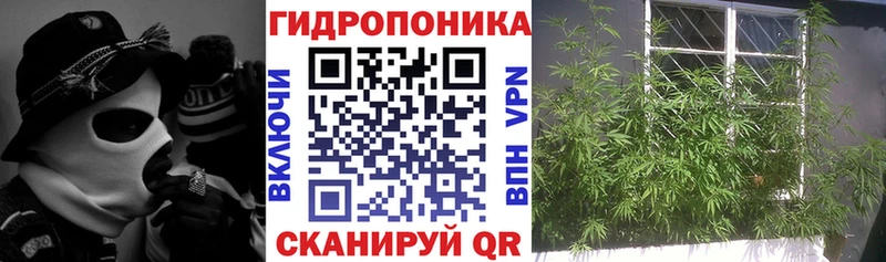 Купить  Нефтеюганск  Шишки марихуана SATIVA & INDICA 